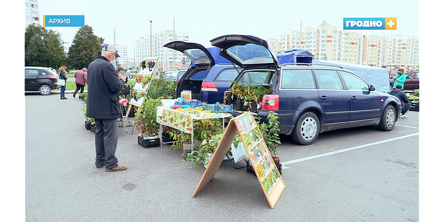 С 10 октября юридические лица и ИП по новым правилам должны использовать кассовое оборудование