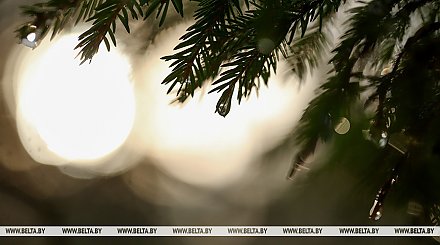 Акция "Лес! Дабро! Парадак!" стартует в Беларуси