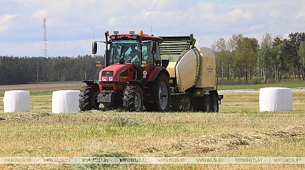 Первый укос трав в Беларуси проведен на 12% площадей