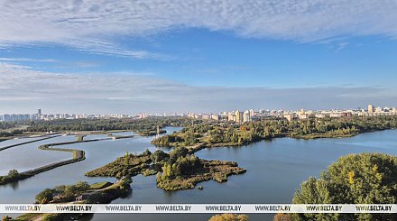 Дожди и до +16°С ожидается сегодня в Беларуси