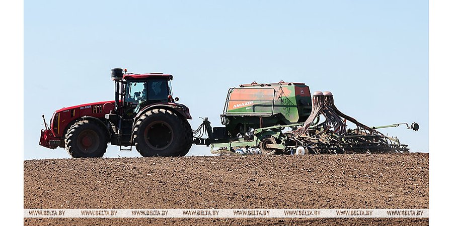 В Беларуси засеяна треть площадей яровых культур