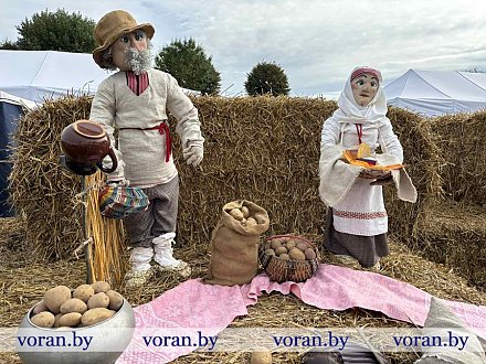 Картошка вдохновляет! На «Бульба-фэсце» в Вороново организована выставка детского творчества 