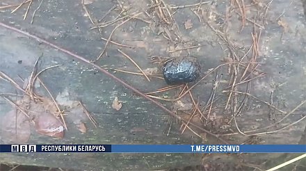 Успели "поработать" около двух недель. Школьницы из Могилевской области распространяли наркотики