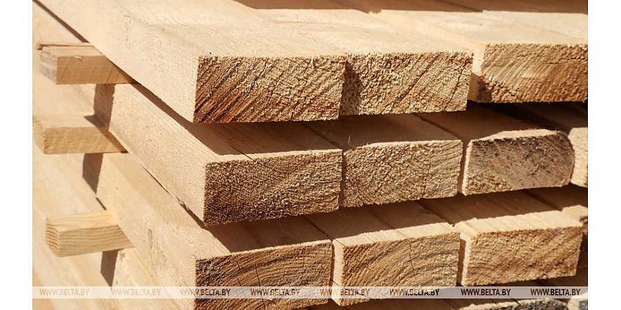 Минлесхоз до конца года планирует открыть шесть торговых объектов во всех областных центрах