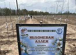 Новости