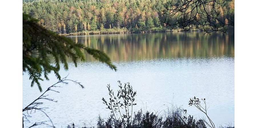 Healing sphagnum, crystal water and a memorial monastery