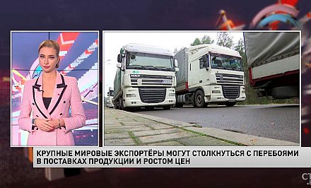 Чем грозит бизнесу транспортный коллапс на польско-белорусской границе? (+видео)