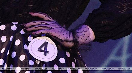 Стартовал прием заявок на конкурс среди многодетных женщин "Краса Беларуси - 2026"