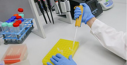 Стипендии Президента Беларуси назначены 64 молодым ученым