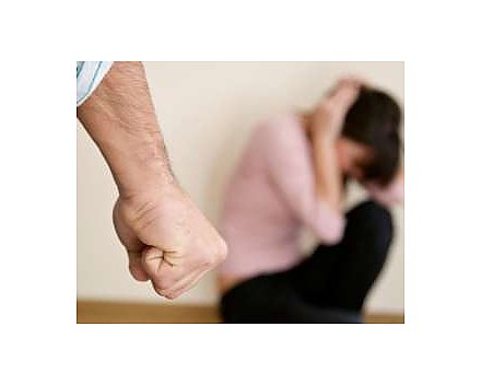  Профилактика домашнего насилия