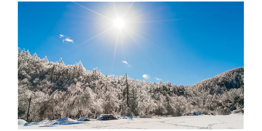 Следите за котом в Ермилов день: приметы на 26 января 2026