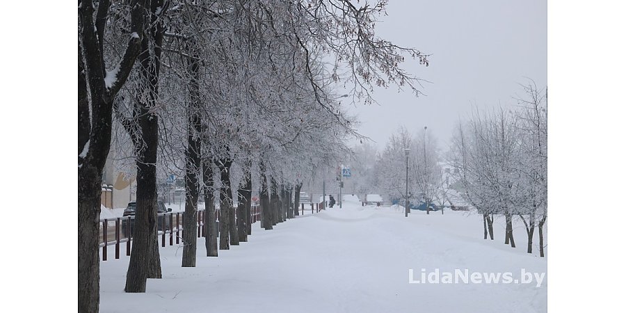 Возможны туман, изморозь, днем до -14°С. Синоптики о погоде в Беларуси 21 января