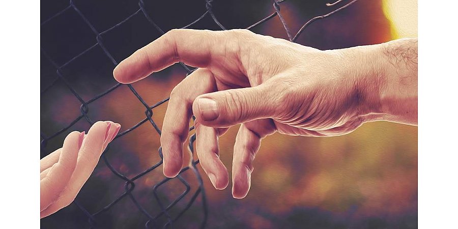 Нелегальные мигранты рассказали, как попадают в Литву из Беларуси