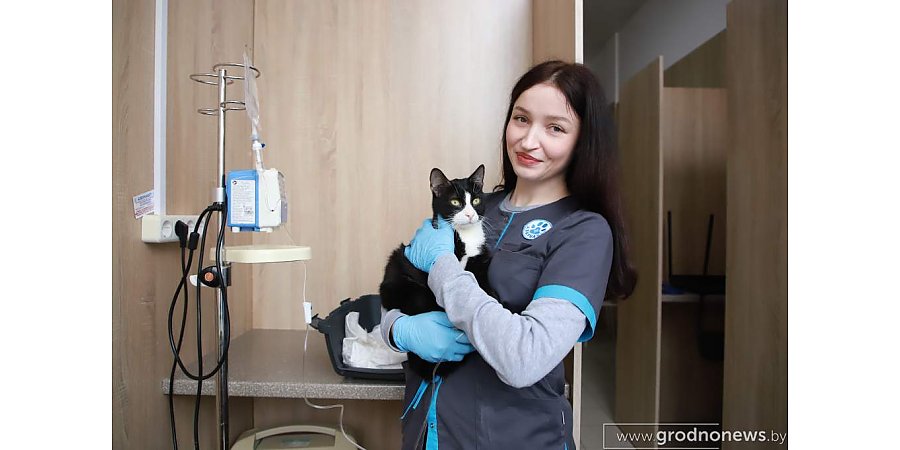 О чем молчат питомцы. Как обеспечить четвероногому долгую и здоровую жизнь