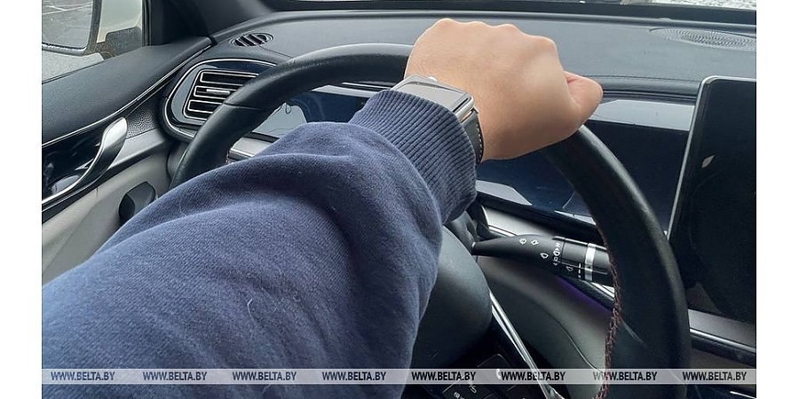 ГПК: более 2,8 тыс. авто ожидают въезда в ЕС на границе