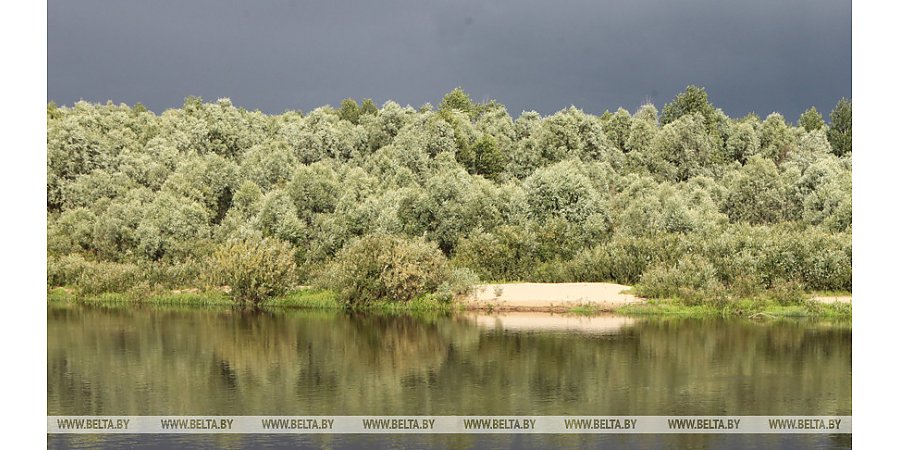 Оранжевый уровень опасности объявлен в Беларуси 6 августа из-за гроз
