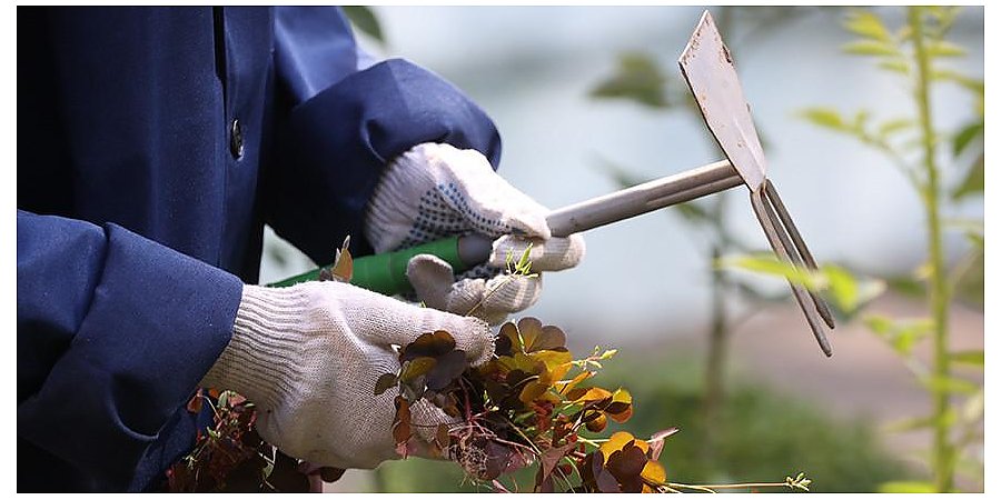 Служба занятости за июнь-июль трудоустроила 26,8 тыс. учащихся и студентов