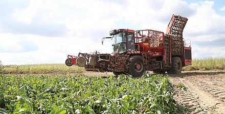 У камітэце па сельскай гаспадарцы і харчаванні аблвыканкама расказалі, якія сельскагаспадарчыя работы сёння вядуцца на Гродзеншчыне