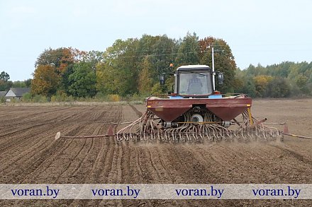 В Вороновском районе посевная финиширует