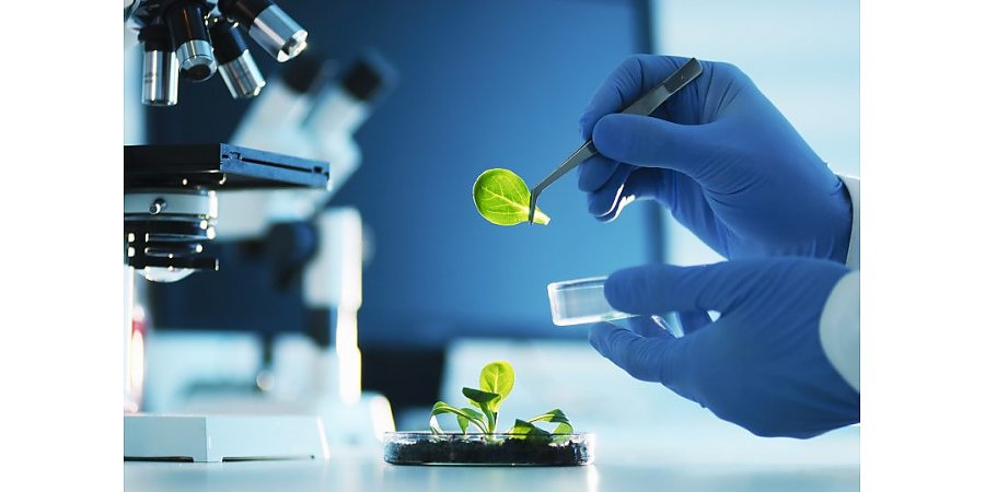 В Купаловском университете будут готовить специалистов в сфере биоинженерии и биоинформатики