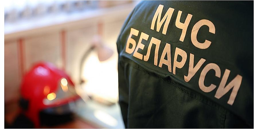 В Лидском районе обрушился пролет неэксплуатируемого моста через Неман