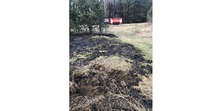 В Вороновском районе снова горела сухая растительность 