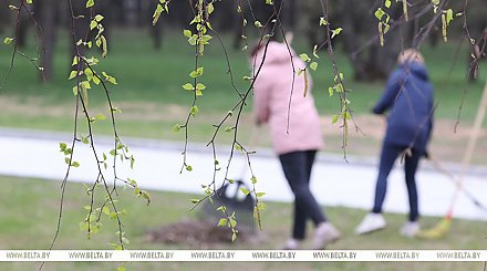 Республиканский субботник пройдет в Беларуси 12 апреля