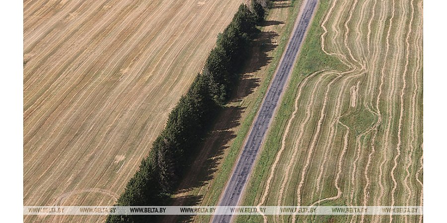Александр Лукашенко: каждый клочок земли должен быть использован на благо Беларуси