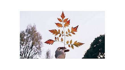 Народные приметы на 14 сентября 2025 года: что можно и нельзя делать в этот день