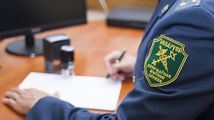 Новые правила таможни РБ: к чему готовиться бизнесу