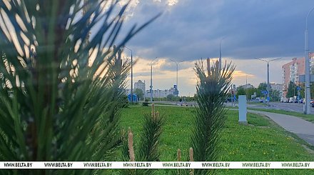 Где в Беларуси сегодня будет теплее всего? Ответили синоптики