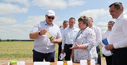 "Это революция будет на селе". На какую сельхозкультуру Александр Лукашенко сделал верную ставку?