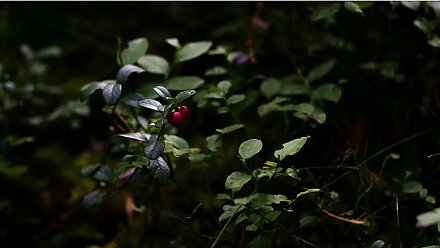 Народные приметы на 5 сентября: что можно и нельзя делать в этот день