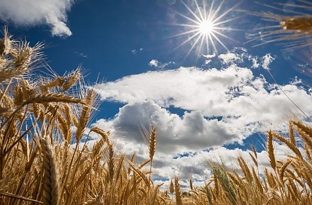 Народные приметы на 17 августа 2025 года: что можно и нельзя делать в этот день