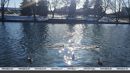 Ждать ли весеннего солнца в праздничное воскресенье 8 Марта, ответили в Белгидромете