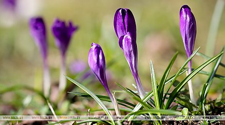 В Беларуси потеплеет во второй половине недели