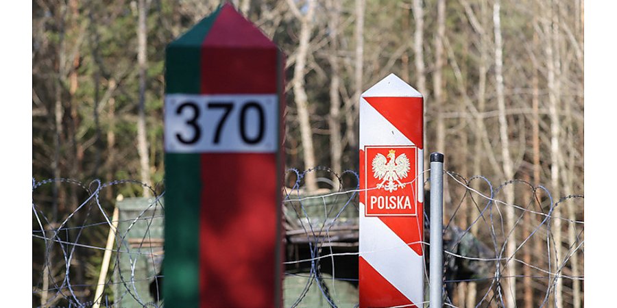 "Дуде необходимы успехи". Почему отношения Беларуси и Польши могут обостриться, объяснил Алесин