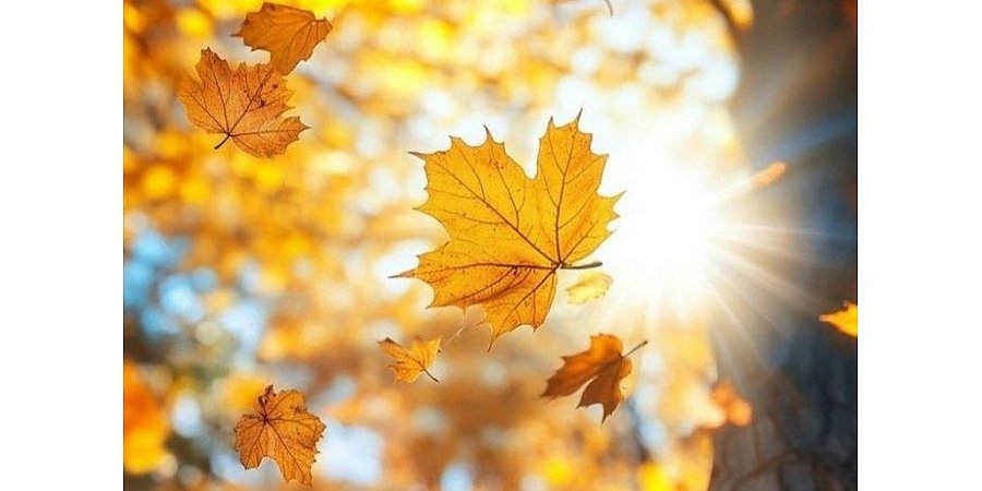 Отпуск – 1 календарный день. Возможно ли такое, ответил юрист