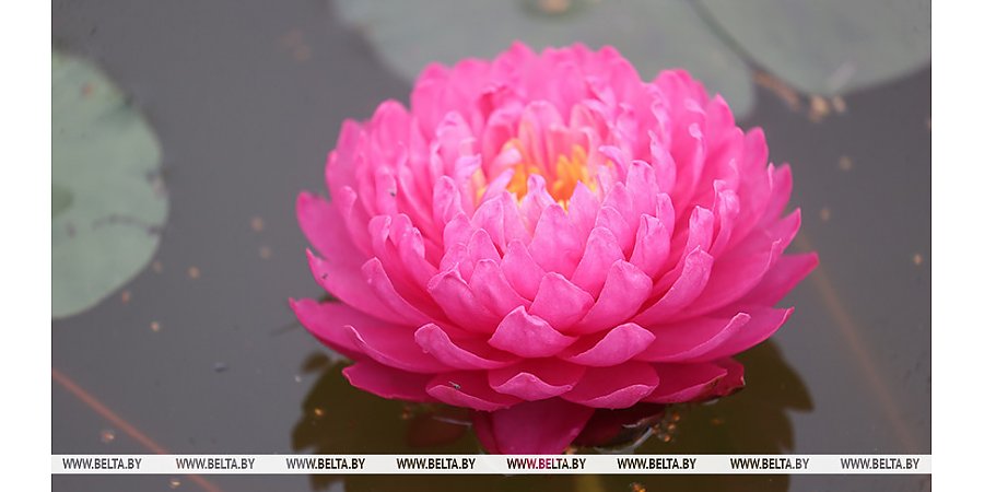 Комфортную, но с дождями погоду обещают синоптики на 4 августа