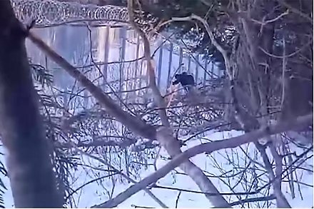 ГПК: на границе с Латвией задержали экстремиста из Украины