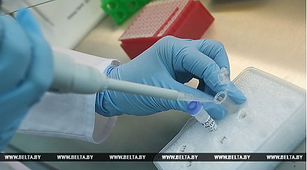 Белорусские ученые разрабатывают наночастицы для адресной доставки лекарств в организм человека