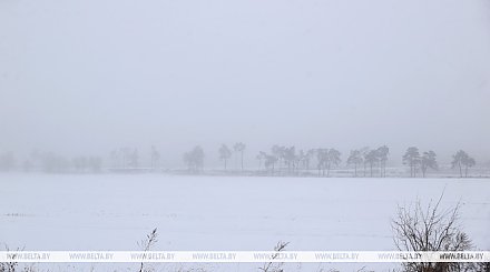 Чего белорусам ожидать от погоды 22 февраля, рассказали синоптики