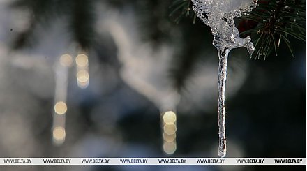 Где сегодня в Беларуси потеплеет до +10°С, рассказали синоптики