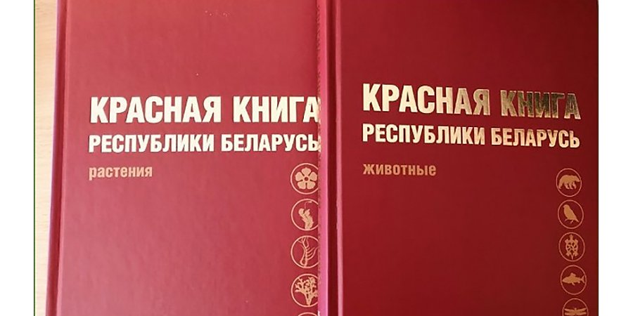 Пятую редакцию Красной книги Беларуси планируют издать до конца года