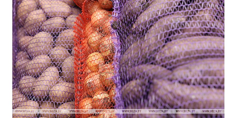 МАРТ установил нарушения в реализации плодоовощной продукции четырьмя субъектами хозяйствования