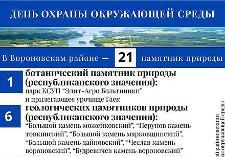 Сегодня — День охраны окружающей среды. Какие памятники природы есть в Вороновском районе? (Инфографика)