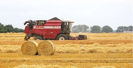 Перспективные направления развития АПК. Комментирует Минсельхозпрод