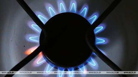 В Беларуси обновлены правила пользования газом в быту
