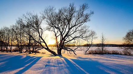 В каком регионе Беларуси будет холоднее всего 22 января, рассказали синоптики