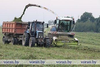 КСУП «Дотишки»: заботы общие, аграрные